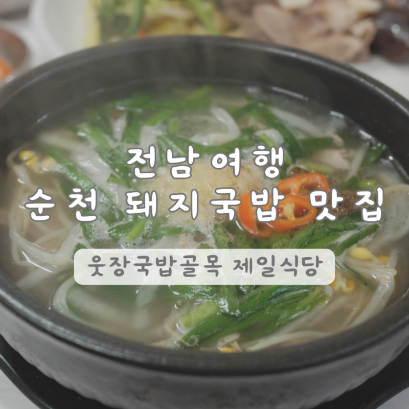 전남 여행 순천 | 웃장 국밥 골목 맛집 제일식장 추천 수육 서비스  내돈내산 후기