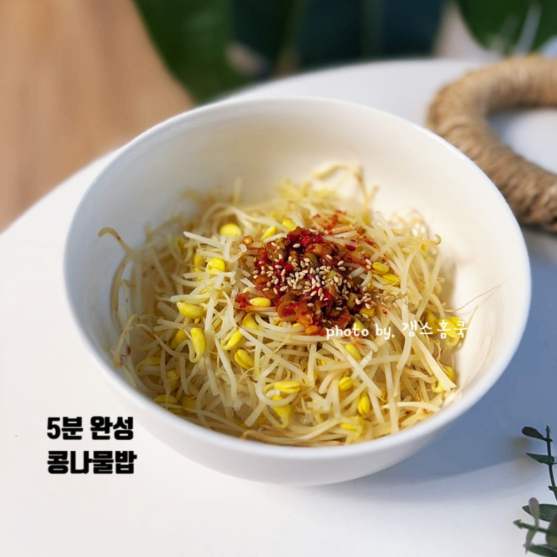 콩나물밥 양념장 레시피 5분 컷 전자레인지 콩나물밥 만들기