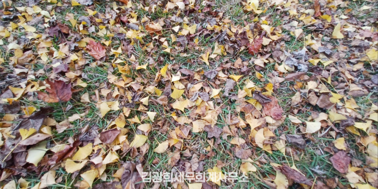  [종합소득세 세액공제] 기장세액공제 뜻, 업종별 기준 및 공제 한도, 복식부기 신고의 장점 및 단점