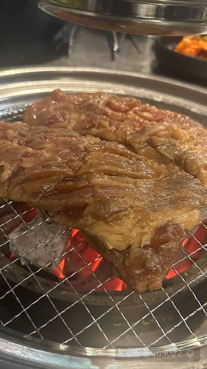 누렁소 사진 4