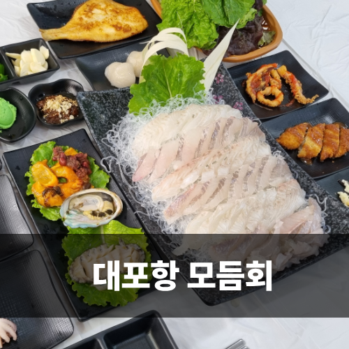  카시아속초맛집 대포어촌회센터 대포항 모듬회 후기