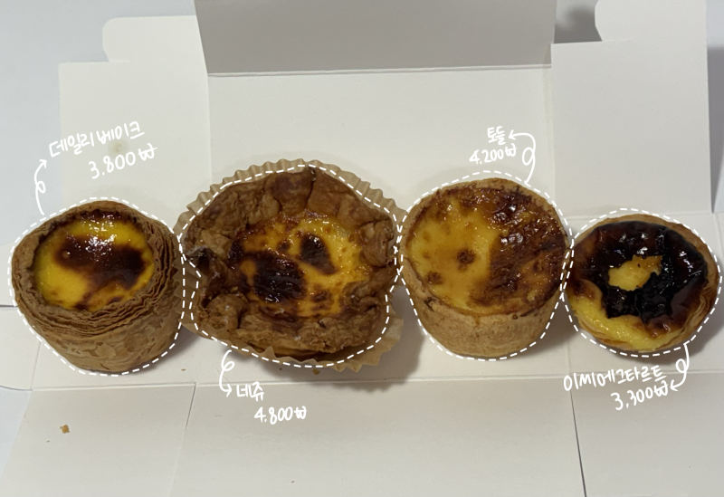 [대구] 대구 에그타르트 맛집 투어 | 동성로 데일리베이크, 네쥬, 토들, 이씨에그타르트 비교