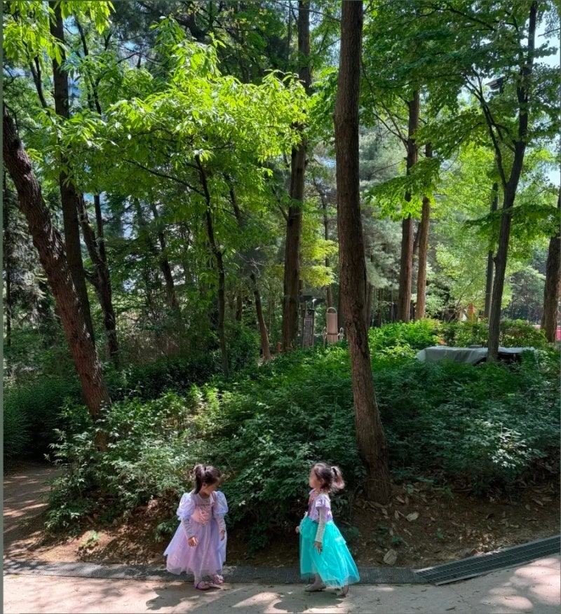 성유리 쌍둥이 딸 근황 인스타 공개, 보라·민트 공주 드레스부터 안성현 가족관계 방부제 미....