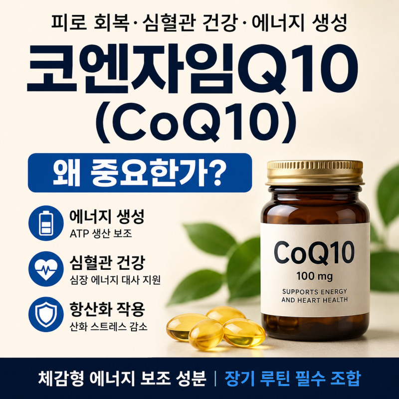 코엔자임Q10(CoQ10), 피로 회복·심혈관 건강에 중요한 이유