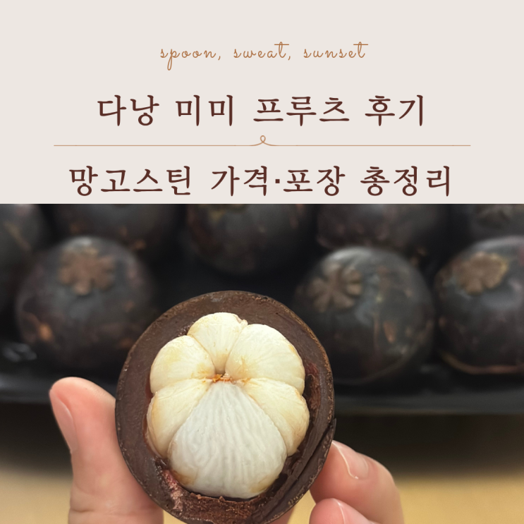  다낭 과일 맛집 추천 미미 프루츠 망고스틴 솔직 후기