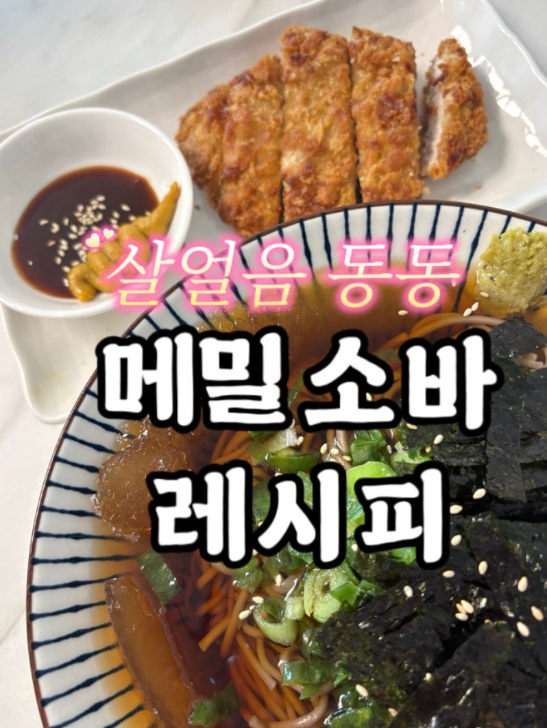 밖에서 사 먹는 맛 그대로! 집에서 5분 컷 살얼음 동동 메밀소바 만들기 (feat. 혼쯔유 황금비....