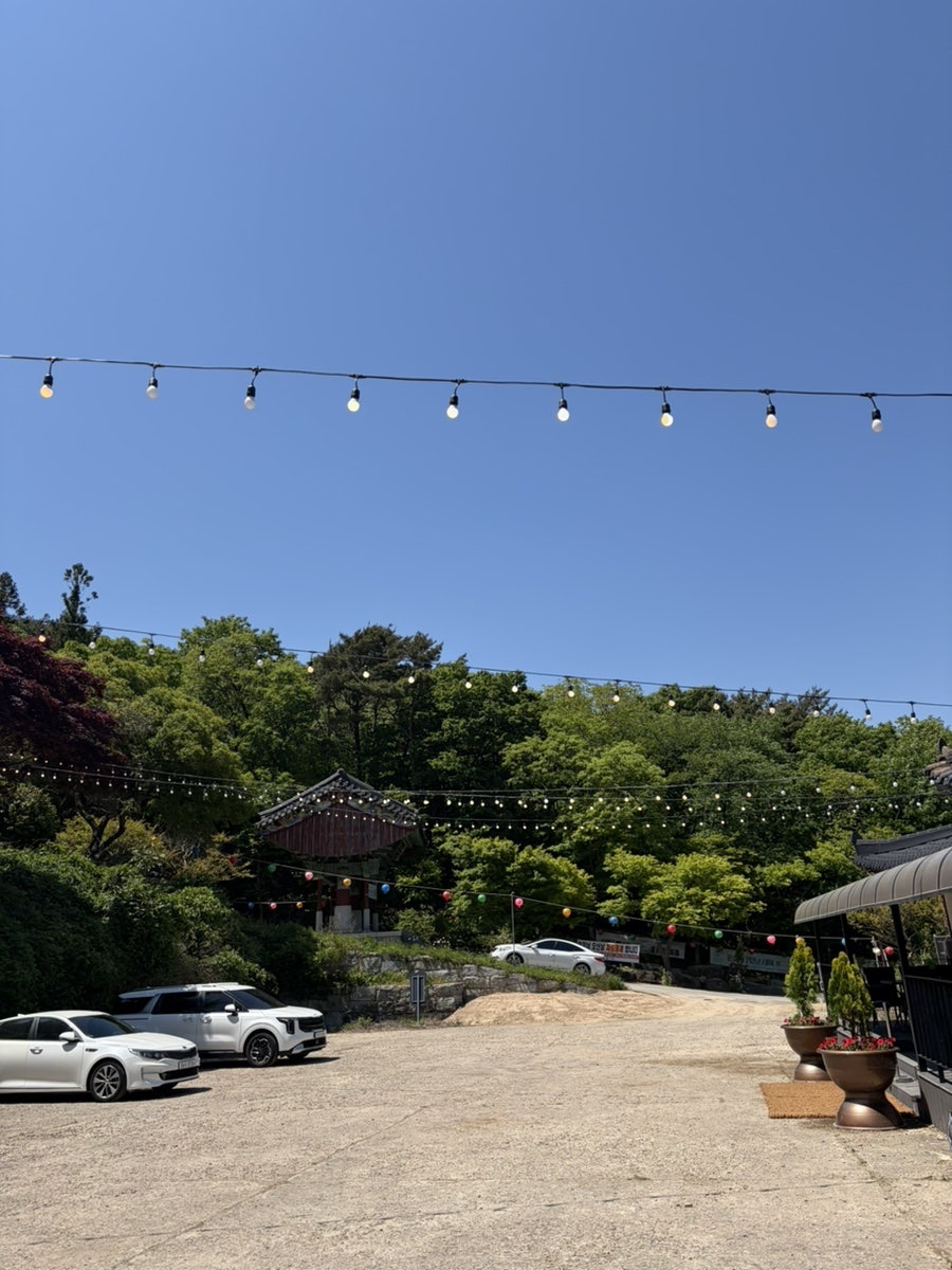 첫새벽 사진 3