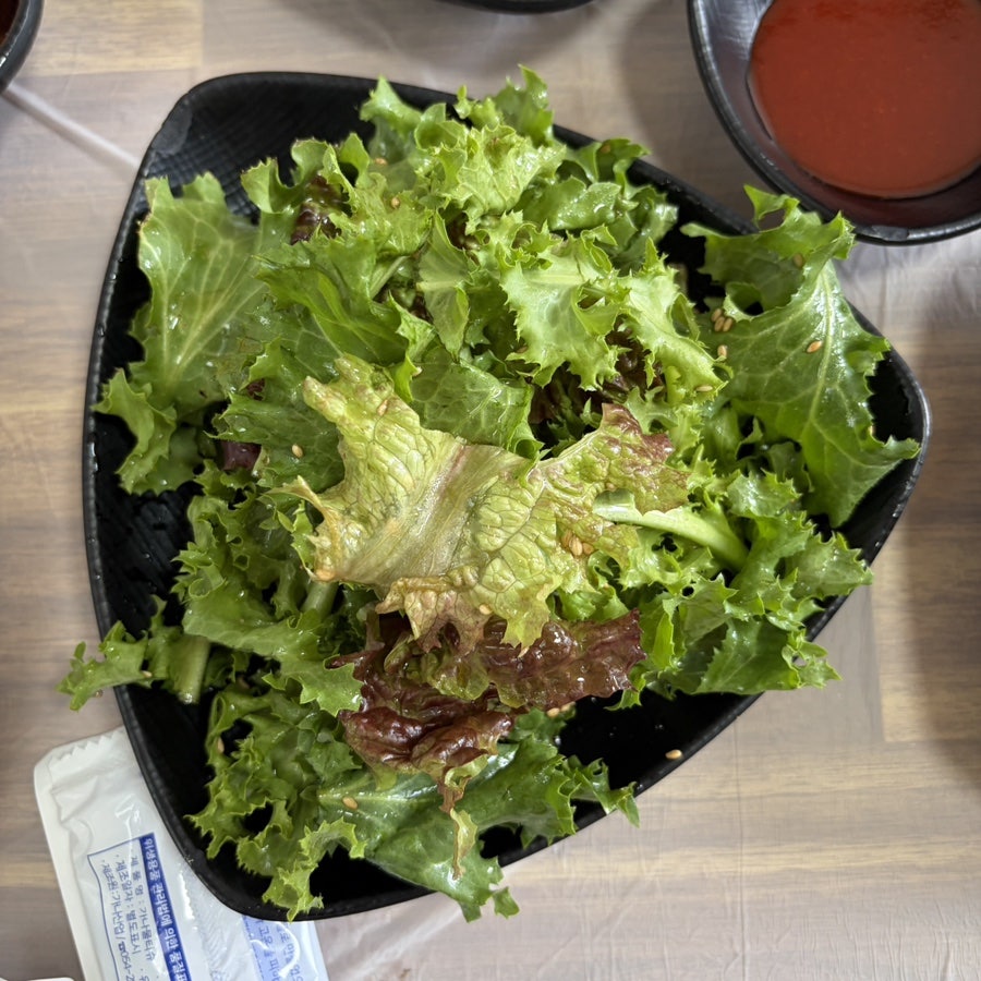 도토리마을 사진 5