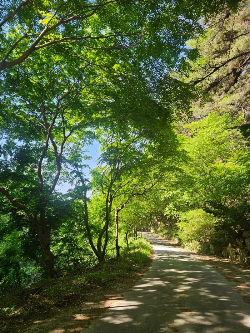 남원여행남원 자연휴양림 가족여행 다녀왔어요 산토끼동 후기
