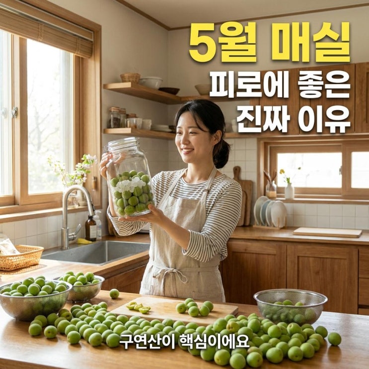  5월 매실이 피로에 좋은 이유, 구연산 때문이에요