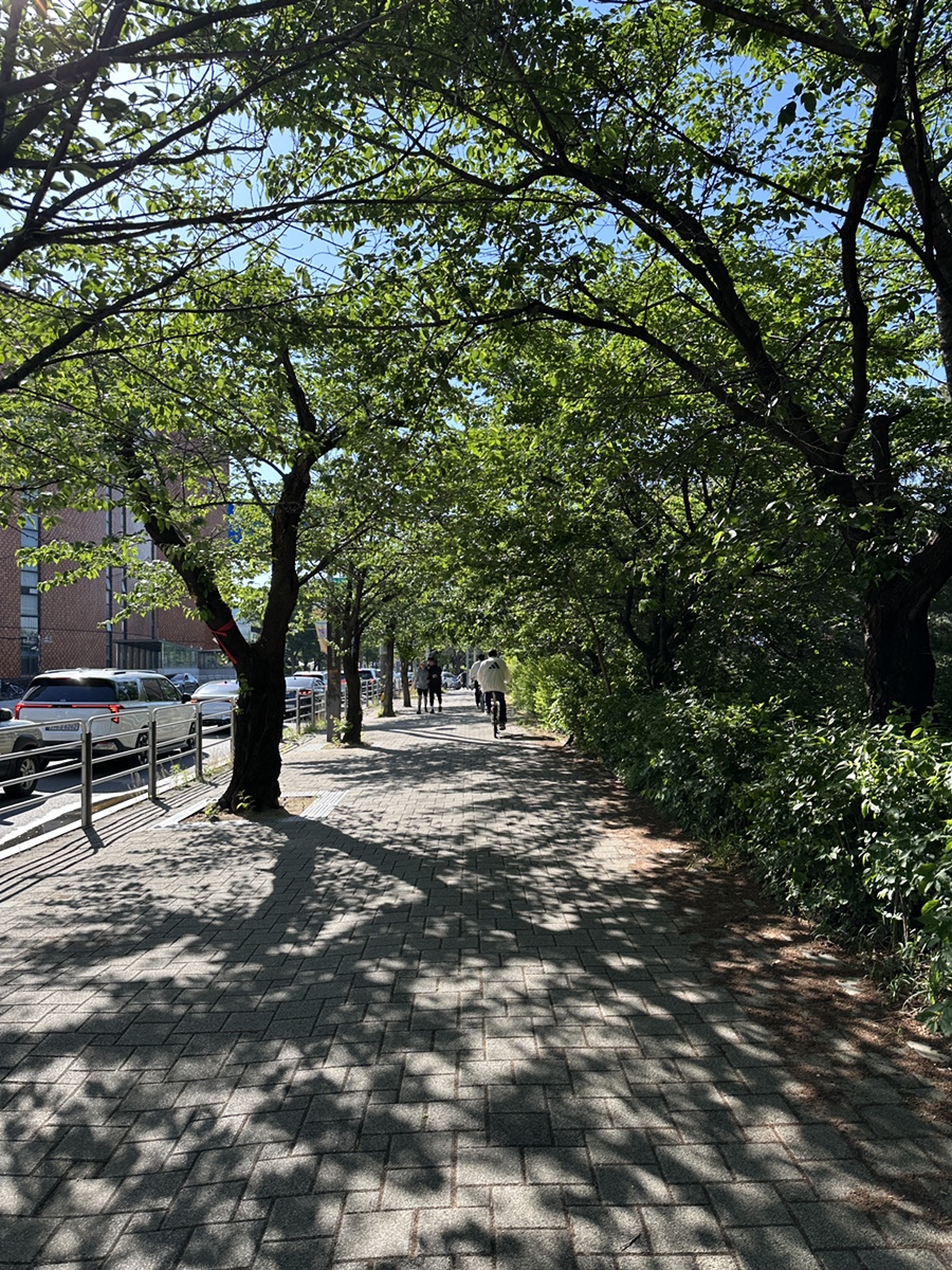 파스쿠찌 서여의도점 사진 1