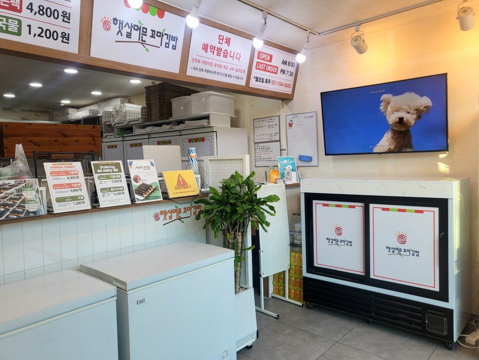 햇살머믄꼬마김밥 사진 4