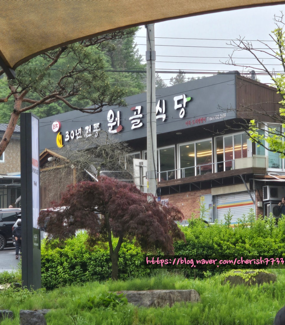 Wongol photo 1