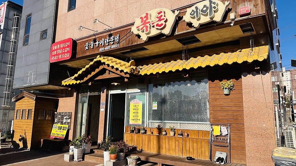 복돈이야 사진 2