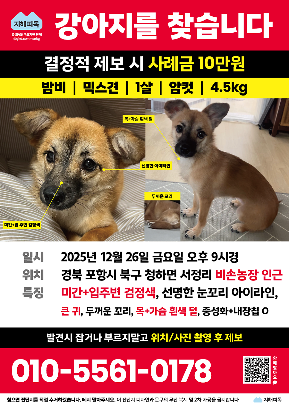 밤비 사진 1