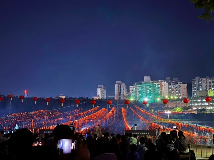   울산 태화강을 수놓은 빛의 향연, 태화강 연등축제 다녀왔습니다.