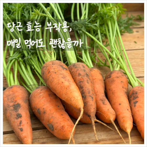 당근 효능 부작용, 매일 먹어도 괜찮을까