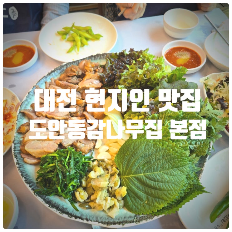  대전여행 추천맛집, 대전 현지인 맛집 『 도안동감나무집 유성본점 』 오리수육 솔직후기