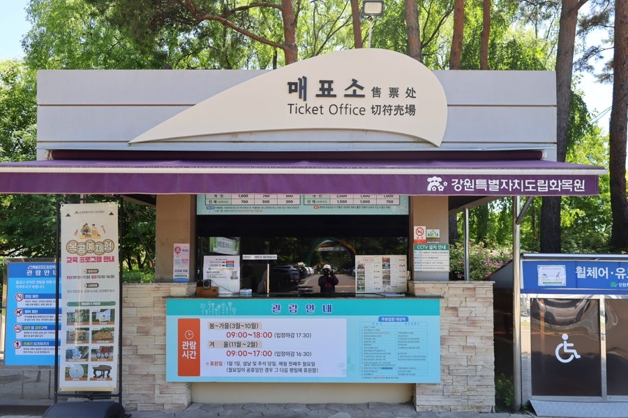 춘천여우그늘 사진 2