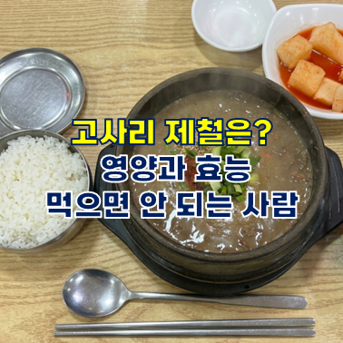 고사리 제철은 언제? 영양과 효능, 먹으면 안 되는 사람