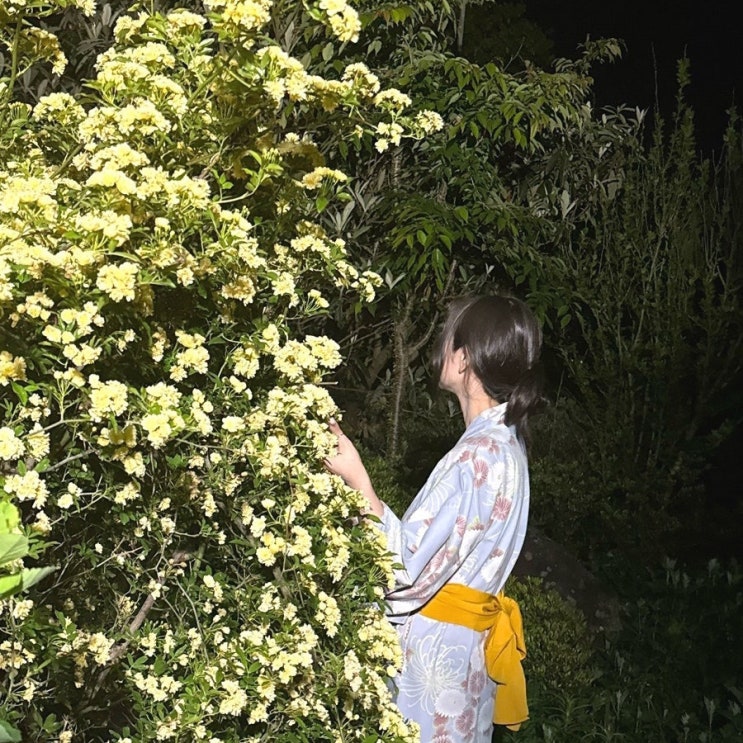  3주 복용 3kg 감량한 썰 ㅣ 다이어트 한약 단기다이어트 찐후기