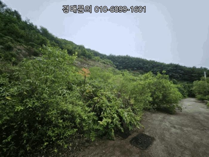 천안 동남구 북면 대규모 전원주택단지 개발 부지 임야 경매, 놓칠 수 없는 투자 기회! 2025타경640