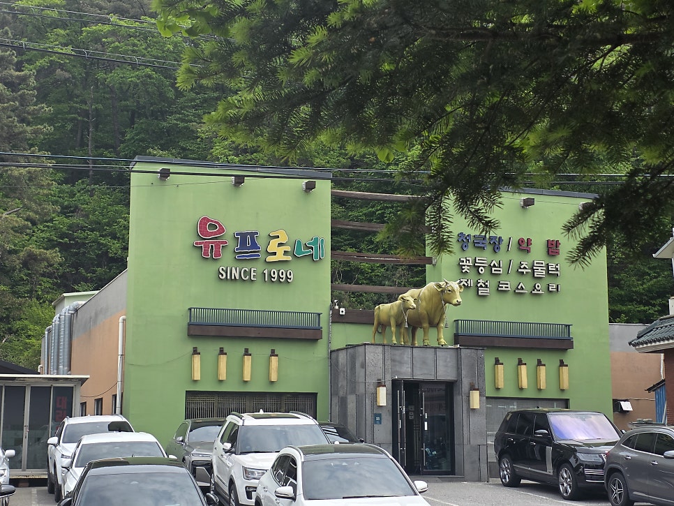 유프로네 사진 2