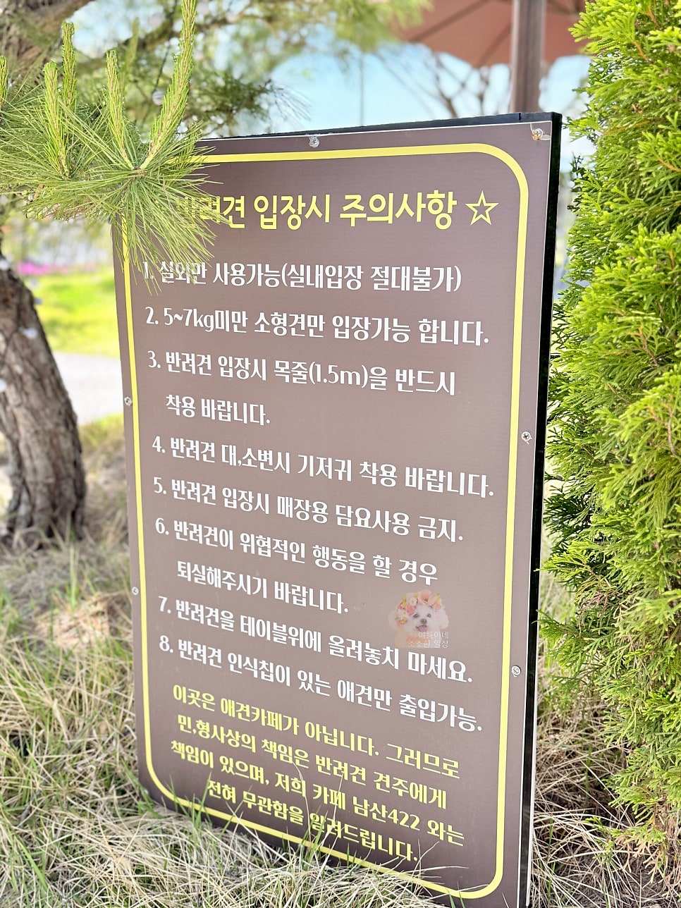 카페남산422 사진 4