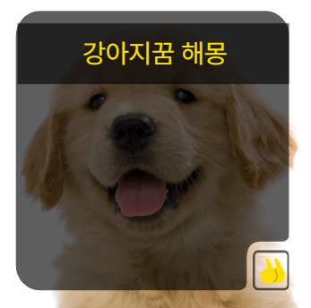 강아지꿈 해몽 흰강아지 의미 뭐길래