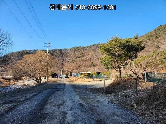  전북 완주군 운주면 금당리 1600평대 대형 토지 경매, 법정지상권 문제 해결이 투자의 핵심 2024-42763
