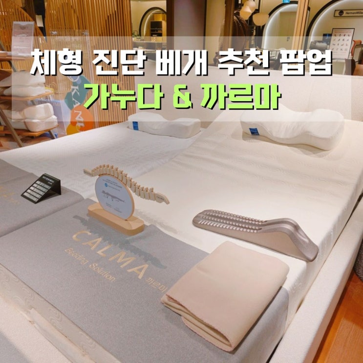  가누다까르마롯데백화점본점팝업스토어 체형진단 받고 가누다 베개 체험 후기