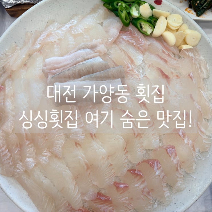  대전 가양동 횟집 싱싱횟집 여기 숨은 맛집이었네요!