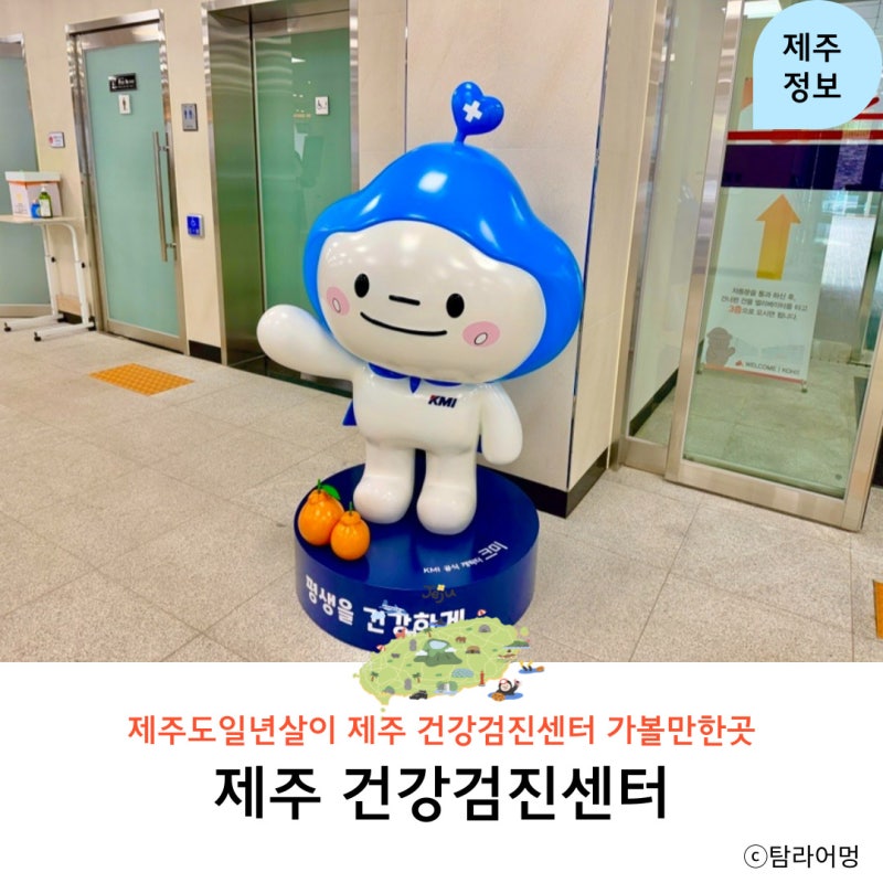 제주도일년살기 제주 KMI 건강검진센터 서귀포 방문기