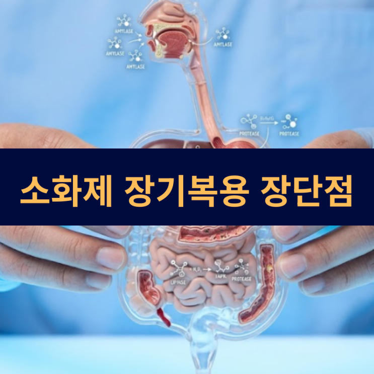  훼스탈 플러스 성분 | 소화제 장기복용 시 신체에 어떤 변화가 생길까?