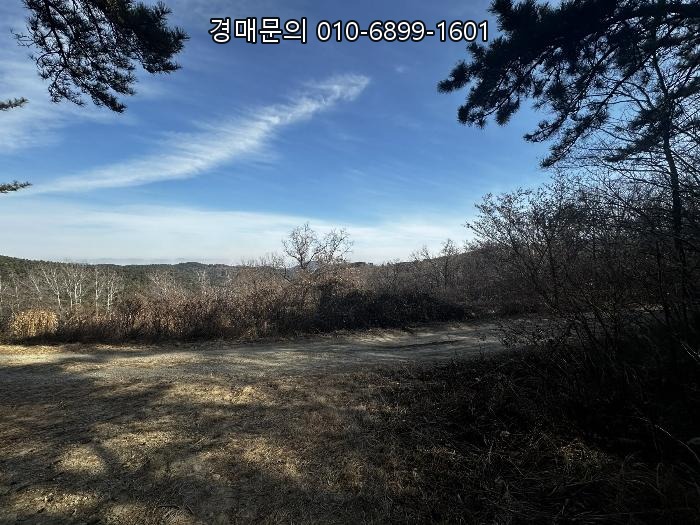  울산 울주군 서생면 '골프존카운티 더골프' 인근 2만4천평 대규모 임야 개발부지 경매, 압도적 스케일의 투자 기회 2025타경10111