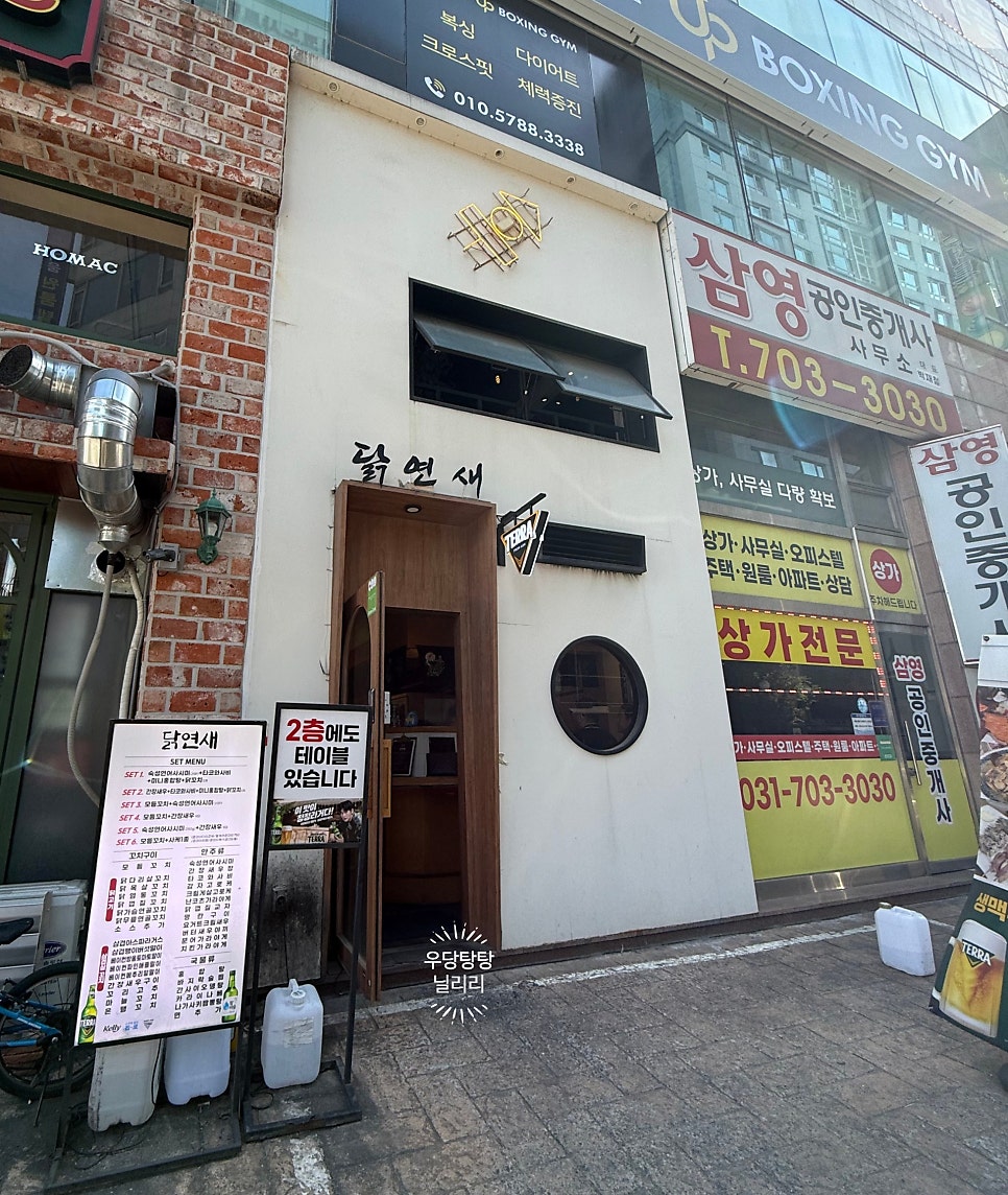 닭연새 사진 1