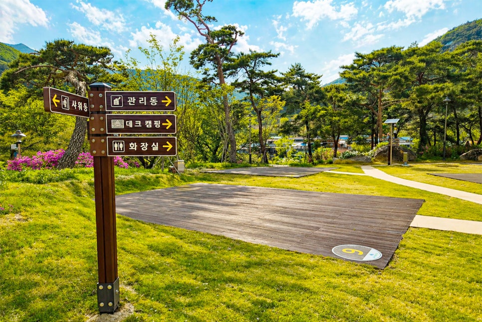 허브캠프농원 사진 5