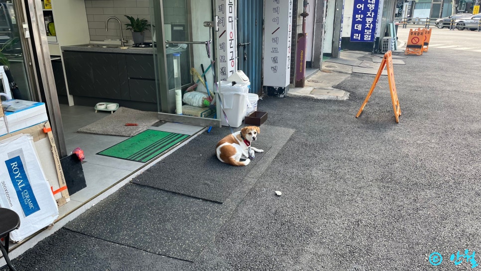 장터순대국 사진 3