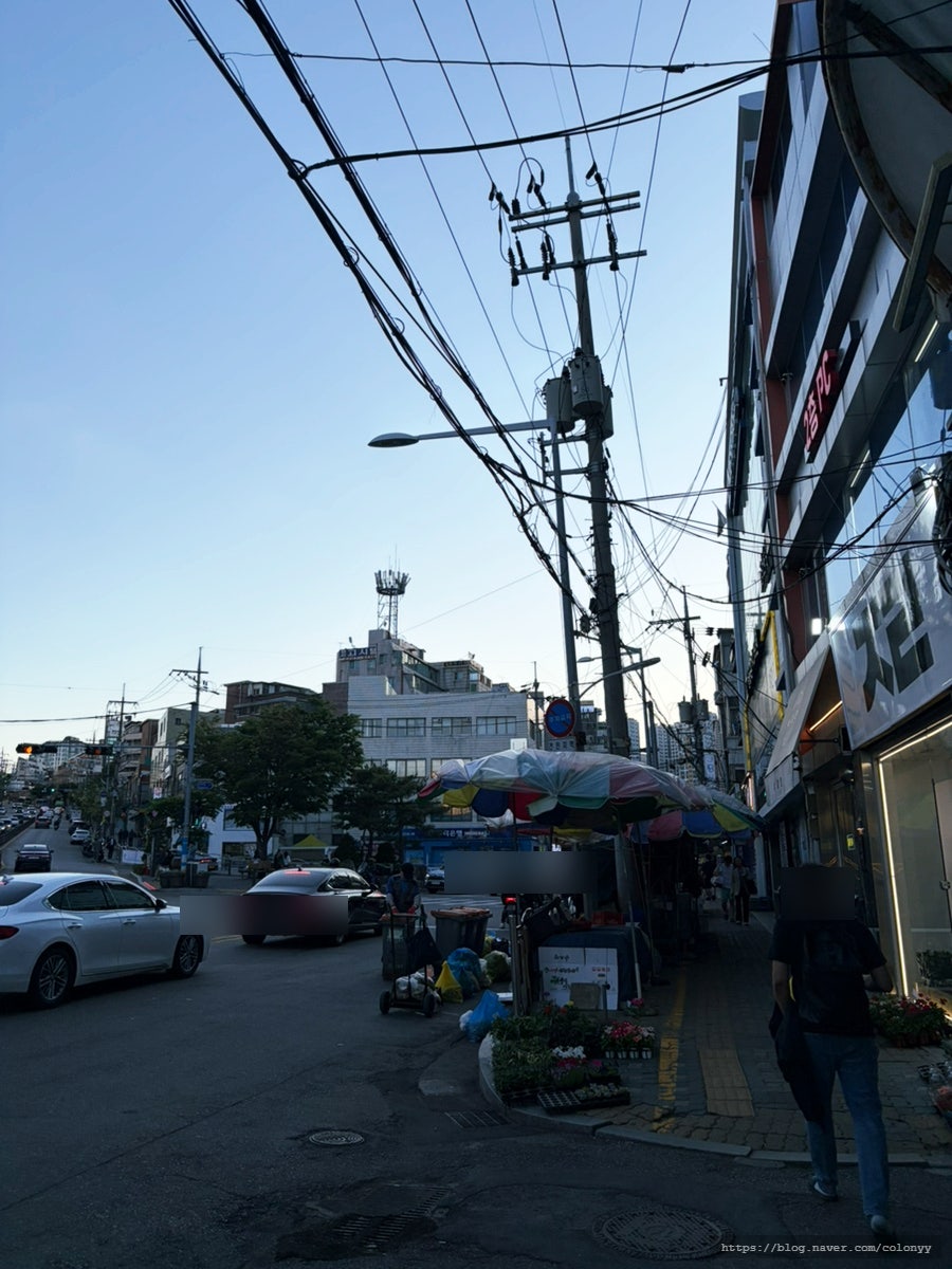 금호샤브 사진 2