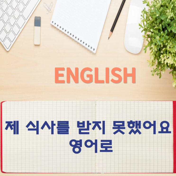 오늘의 영어회화 스터디 제 식사를 받지 못했어요  영어로