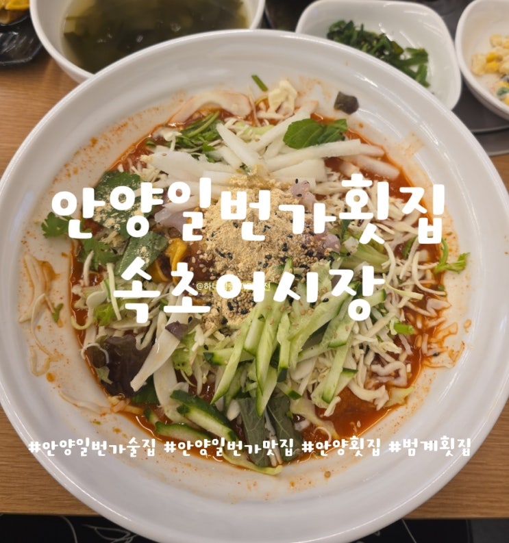  안양일번가 가성비 횟집 종결자 속초어시장에서 혼자 다 먹고 싶은 1인 물회 영접함