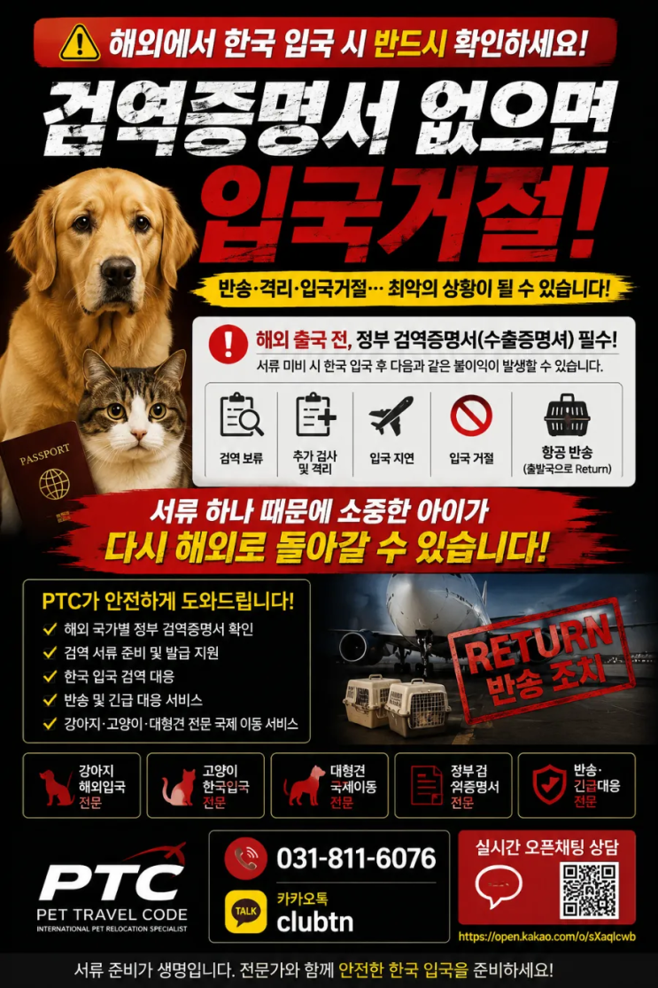 고양이·강아지 한국 입국 시 가장 많이 실수하는 검역 서류 준비 문제