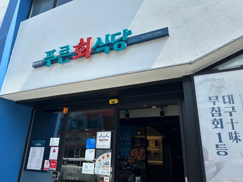 [260504] 푸른회 식당(포장) & 박지연의 가창옛날 찜빵 손만두