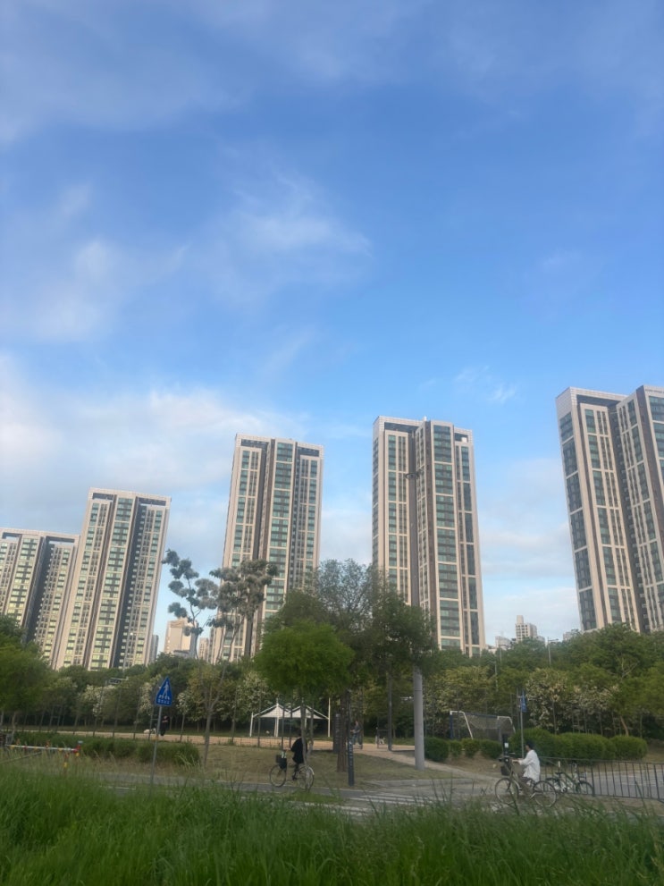  토허구역 내 갭투자를 일부 허용하는 방향 실거주 의무 유예를 비거주 1주택자까지 확대