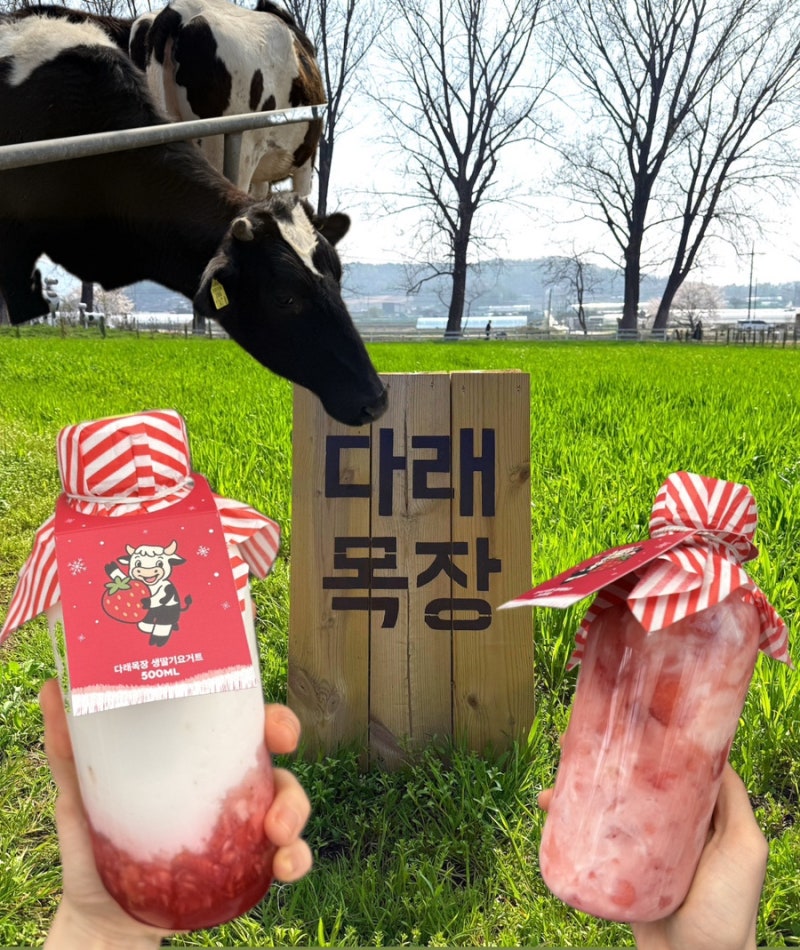 청주 내수 가볼만한곳 다래목장 카페 주말 주차 동물체험 수제요거트 (아이랑/데이트)