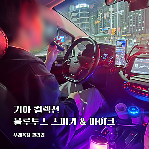 기아 컬렉션 블루투스 스피커 마이크 내돈내산 후기