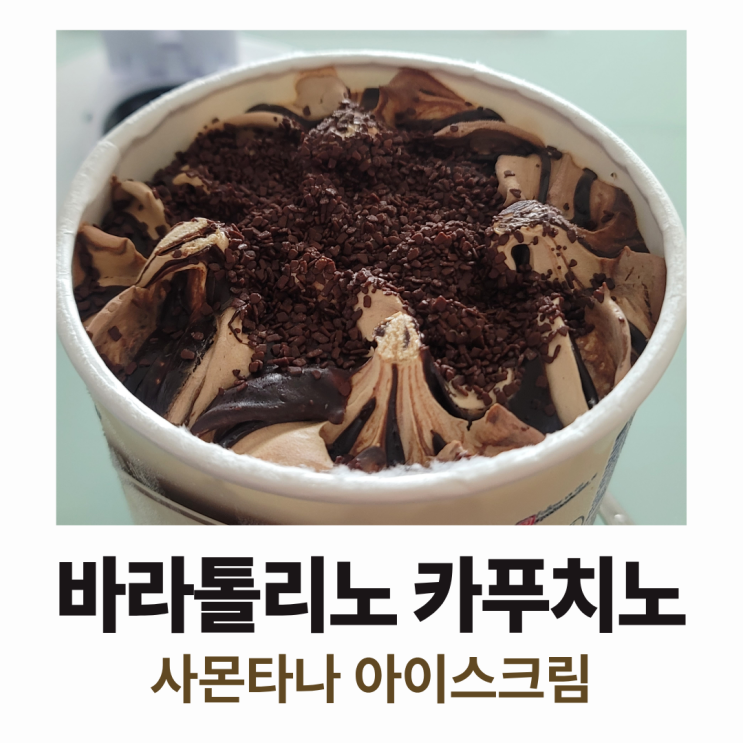  사몬타나 바라톨리노 카푸치노 파인트 아이스크림 후기 : 이건 좀 아쉽넹