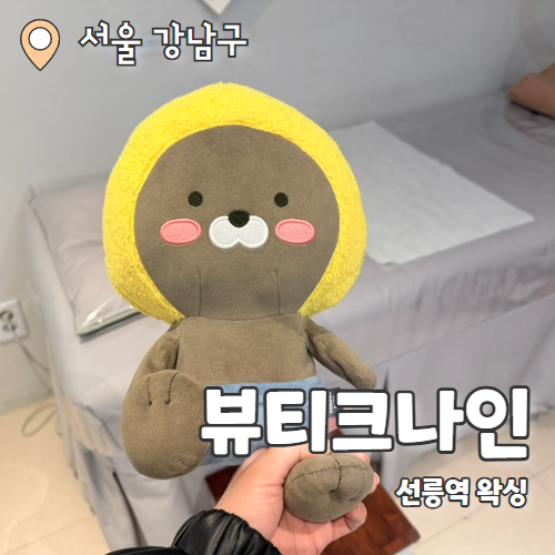  뷰티크나인 : 샤워실 완비된 프리미엄 브라질리언왁싱 선릉역 왁싱 추천 후기