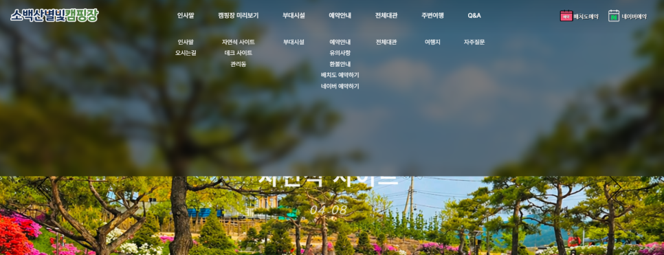 허브캠프농원 사진 1