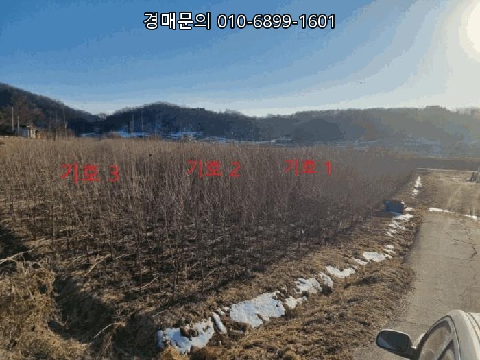  원주 간현관광지 소금산 그랜드밸리 인근 대규모 투자용 토지 경매, 지금이 잡을 기회! 2025타경169